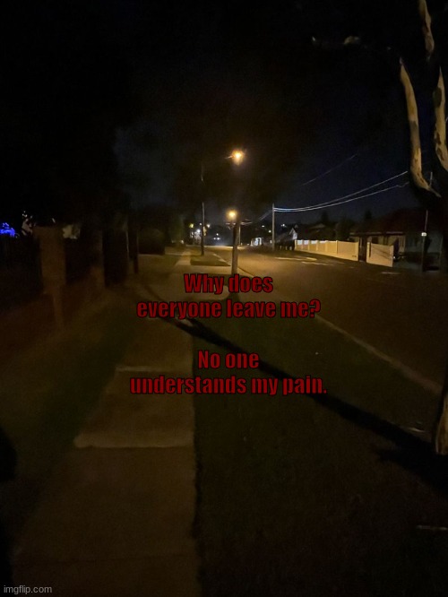 Late night walk | No one understands my pain. Why does everyone leave me? | image tagged in late night walk | made w/ Imgflip meme maker