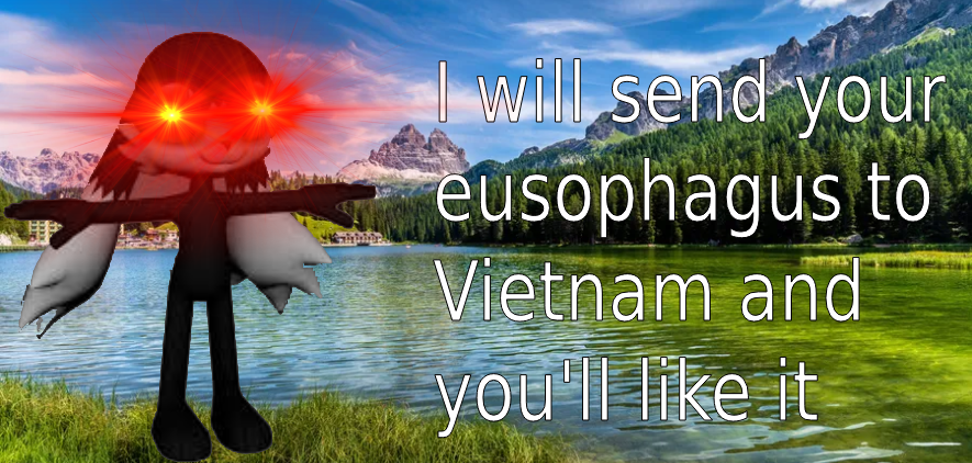 I will send your eusophagus to Vietnam and you'll like it Blank Meme Template