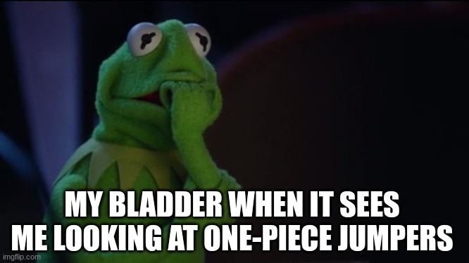 Kermit worried face | MY BLADDER WHEN IT SEES ME LOOKING AT ONE-PIECE JUMPERS | image tagged in kermit worried face | made w/ Imgflip meme maker
