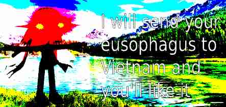 I will send your eusophagus to Vietnam (deep fried) Blank Meme Template