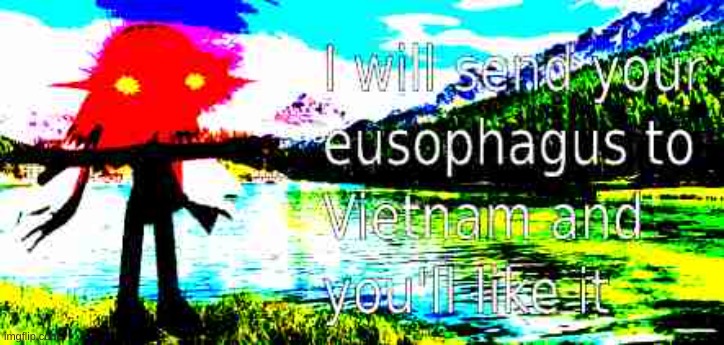 image tagged in i will send your eusophagus to vietnam deep fried | made w/ Imgflip meme maker