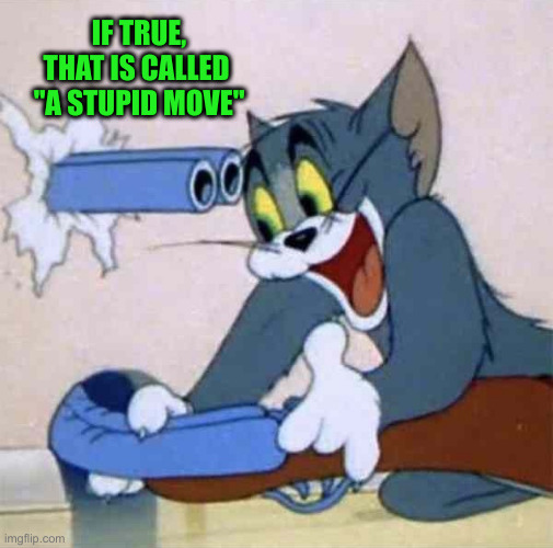Tom backfire | IF TRUE, THAT IS CALLED 
"A STUPID MOVE" | image tagged in tom backfire | made w/ Imgflip meme maker