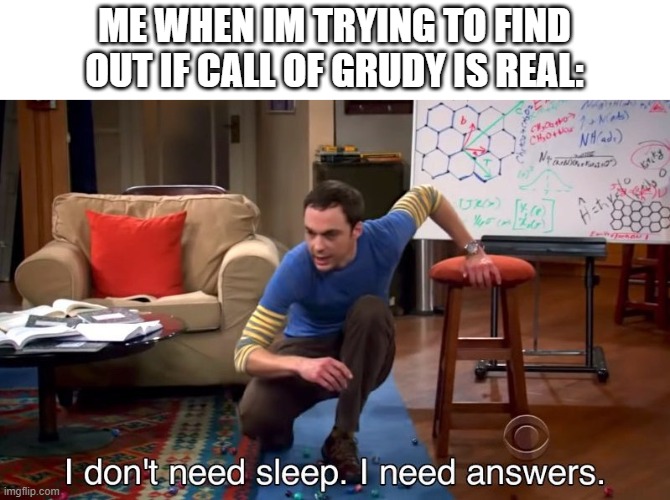 is it true??? | ME WHEN IM TRYING TO FIND OUT IF CALL OF GRUDY IS REAL: | image tagged in i don't need sleep i need answers | made w/ Imgflip meme maker