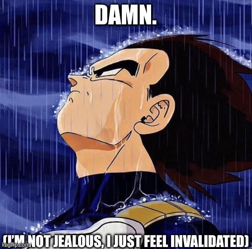 Vegeta in the rain | DAMN. (I’M NOT JEALOUS, I JUST FEEL INVALIDATED) | image tagged in vegeta in the rain | made w/ Imgflip meme maker