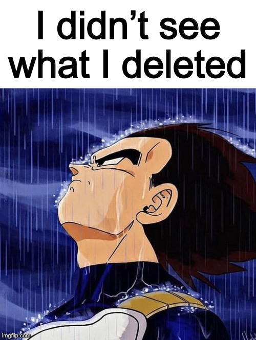 I Didn't See What You Deleted | I didn’t see what I deleted | image tagged in i didn't see what you deleted | made w/ Imgflip meme maker