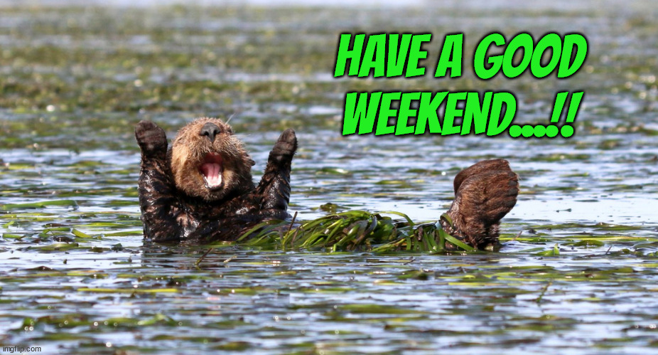 good WE | HAVE A GOOD WEEKEND...!! | image tagged in weekend,have fun,funny | made w/ Imgflip meme maker