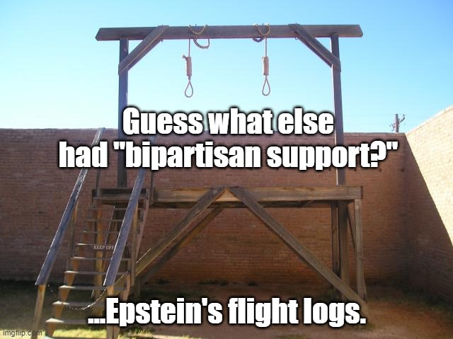 Bipartisan Support... same as Epstein's flight logs! | Guess what else had "bipartisan support?"; ...Epstein's flight logs. | image tagged in bipartisan | made w/ Imgflip meme maker