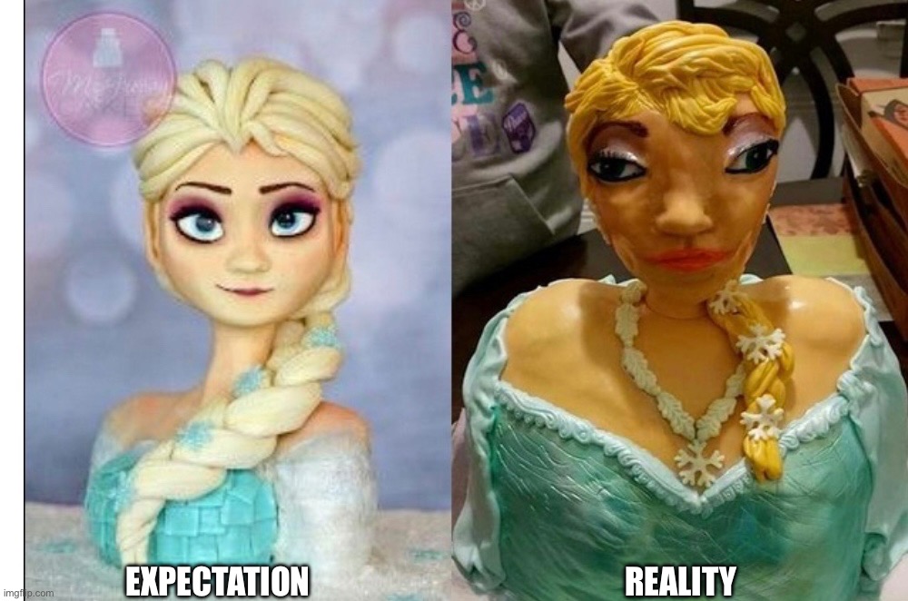 Expectation vs. reality | EXPECTATION; REALITY | image tagged in elsa frozen,wtf,what,bruh moment | made w/ Imgflip meme maker