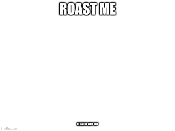 ROAST ME; BECAUSE WHY NOT | made w/ Imgflip meme maker