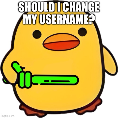 SHOULD I CHANGE MY USERNAME? | image tagged in duck | made w/ Imgflip meme maker