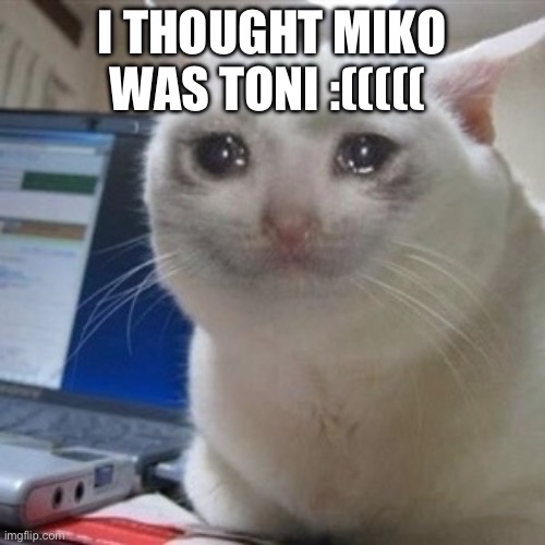 Crying cat | I THOUGHT MIKO WAS TONI :((((( | image tagged in crying cat | made w/ Imgflip meme maker
