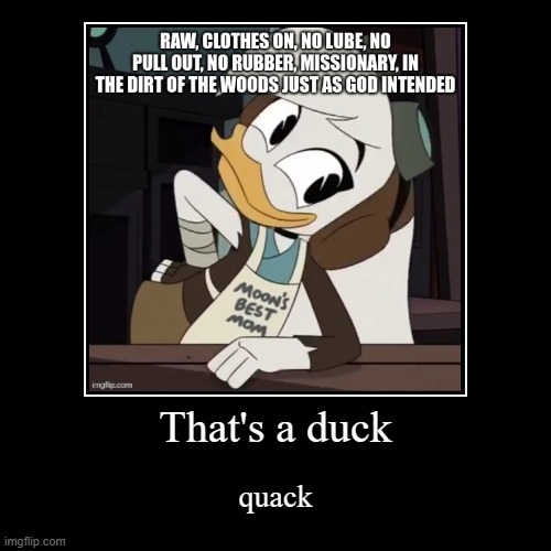 That's a duck | quack | image tagged in funny,demotivationals | made w/ Imgflip demotivational maker