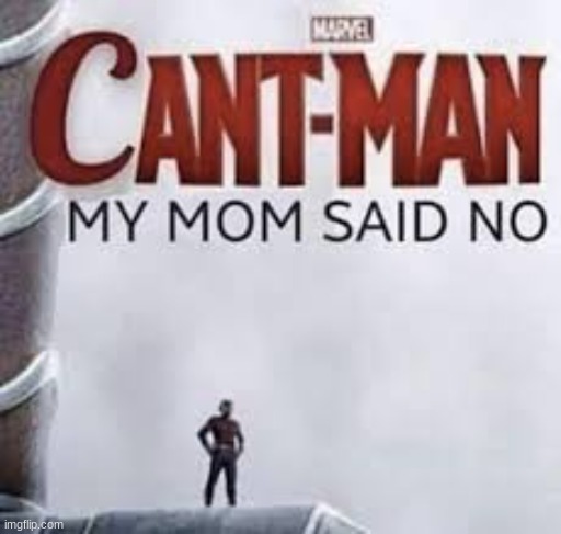 Can't Man, My Mom Said No | image tagged in can't man my mom said no | made w/ Imgflip meme maker
