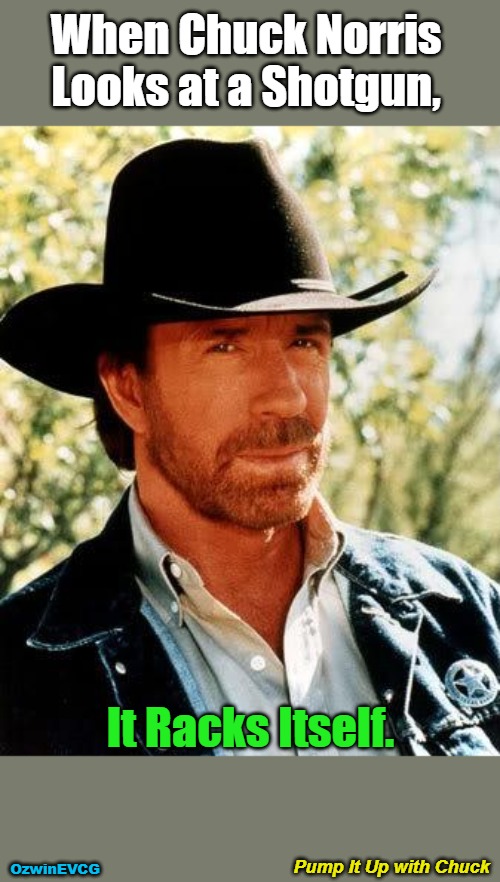 Pump It Up with Chuck | When Chuck Norris 

Looks at a Shotgun, It Racks Itself. Pump It Up with Chuck; OzwinEVCG | image tagged in memes,chuck norris,guns,funny,magic,celebrity | made w/ Imgflip meme maker