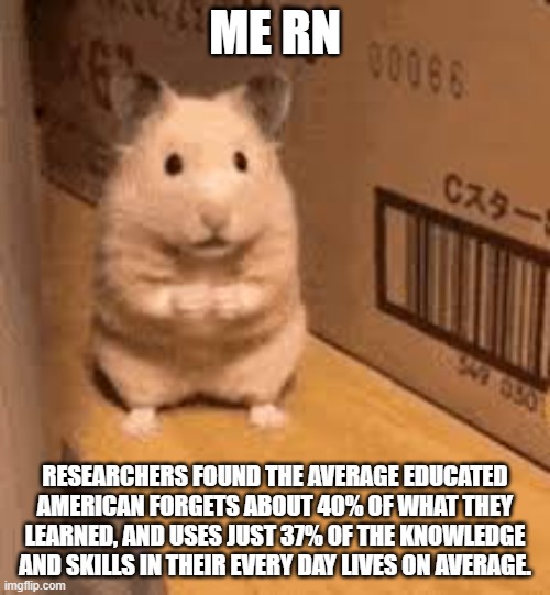 im so man rn | ME RN; RESEARCHERS FOUND THE AVERAGE EDUCATED AMERICAN FORGETS ABOUT 40% OF WHAT THEY LEARNED, AND USES JUST 37% OF THE KNOWLEDGE AND SKILLS IN THEIR EVERY DAY LIVES ON AVERAGE. | image tagged in school,hampter,reality | made w/ Imgflip meme maker