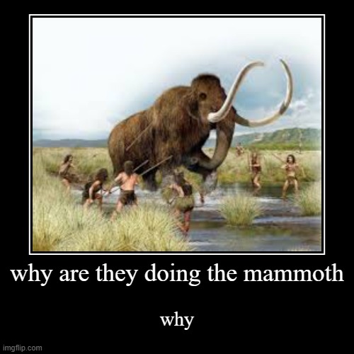 why are they doing to the mammoth | why are they doing the mammoth | why | image tagged in demotivationals,funny,why,are they,doing to the,mammoth | made w/ Imgflip demotivational maker