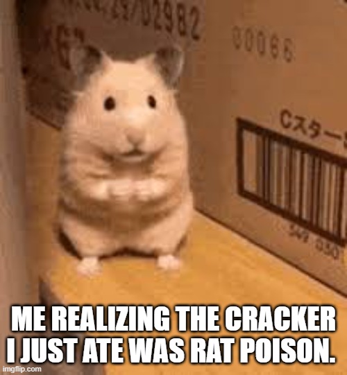it was good tho | ME REALIZING THE CRACKER I JUST ATE WAS RAT POISON. | image tagged in poison,cracker,hampster | made w/ Imgflip meme maker