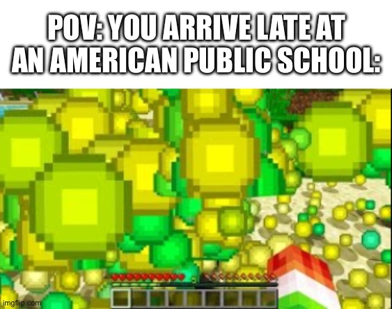 minecaft xp | POV: YOU ARRIVE LATE AT AN AMERICAN PUBLIC SCHOOL: | image tagged in minecaft xp | made w/ Imgflip meme maker