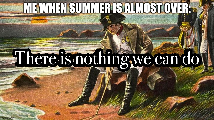 what can we do napoleon? | ME WHEN SUMMER IS ALMOST OVER: | image tagged in summer | made w/ Imgflip meme maker
