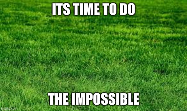 One day | ITS TIME TO DO; THE IMPOSSIBLE | image tagged in touching grass | made w/ Imgflip meme maker