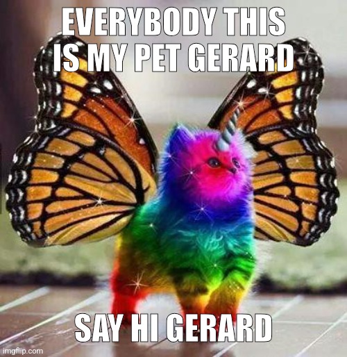 Let's see if this can get past my last post (124 upvotes, 110 comments) | EVERYBODY THIS IS MY PET GERARD; SAY HI GERARD | image tagged in rainbow unicorn butterfly kitten | made w/ Imgflip meme maker