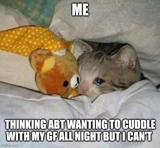 Crying cat | ME; THINKING ABT WANTING TO CUDDLE WITH MY GF ALL NIGHT BUT I CAN'T | image tagged in crying cat | made w/ Imgflip meme maker