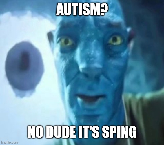 I barely tried :_ | AUTISM? NO DUDE IT'S SPING | image tagged in avatar guy,memes,autism | made w/ Imgflip meme maker