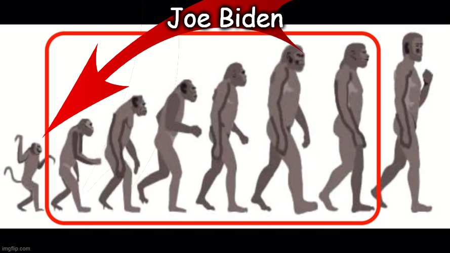 Picked him out of a lineup.... | Joe Biden | image tagged in joe biden,resemblance,actions speak louder than words,they're the same picture,political humor,stranger things | made w/ Imgflip meme maker