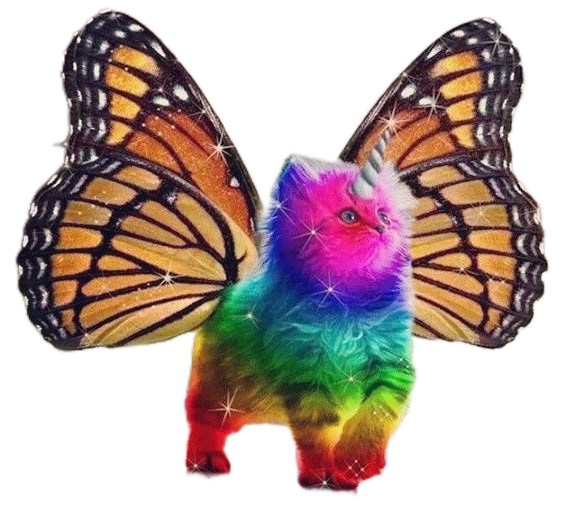 High Quality Rainbow Butterfly Unicorn Kitten Blank Meme Template