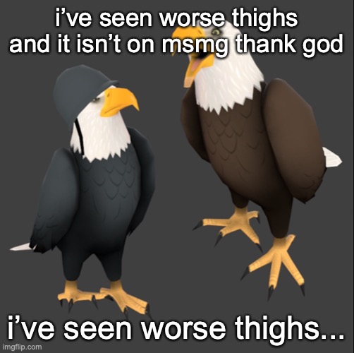 if angelically or any horny people are reading this, even better thighs | i’ve seen worse thighs and it isn’t on msmg thank god; i’ve seen worse thighs... | image tagged in tf2 eagles | made w/ Imgflip meme maker