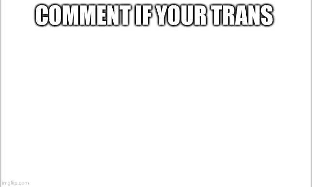 COMMENT IF YOUR TRANS | COMMENT IF YOUR TRANS | image tagged in white background | made w/ Imgflip meme maker