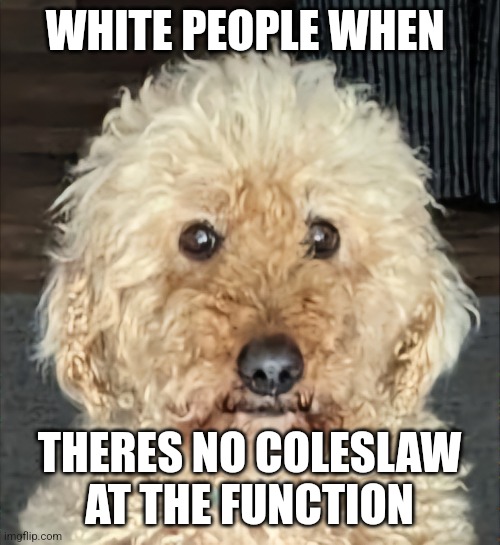 coleslaw dog | WHITE PEOPLE WHEN; THERES NO COLESLAW AT THE FUNCTION | image tagged in coleslaw dog | made w/ Imgflip meme maker