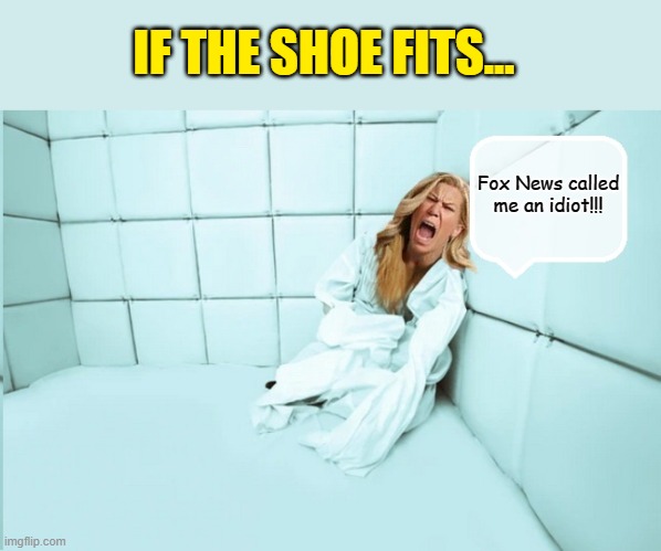Meanwhile in an undisclosed location in Washington, D.C.... | IF THE SHOE FITS... Fox News called me an idiot!!! | image tagged in maga,insane,republicans,clown car republicans | made w/ Imgflip meme maker