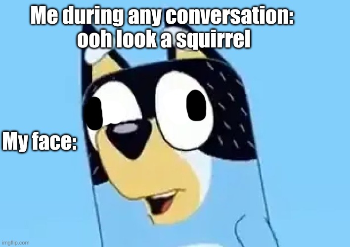 Derpy ahh bandit | Me during any conversation: 
ooh look a squirrel; My face: | image tagged in bandit | made w/ Imgflip meme maker