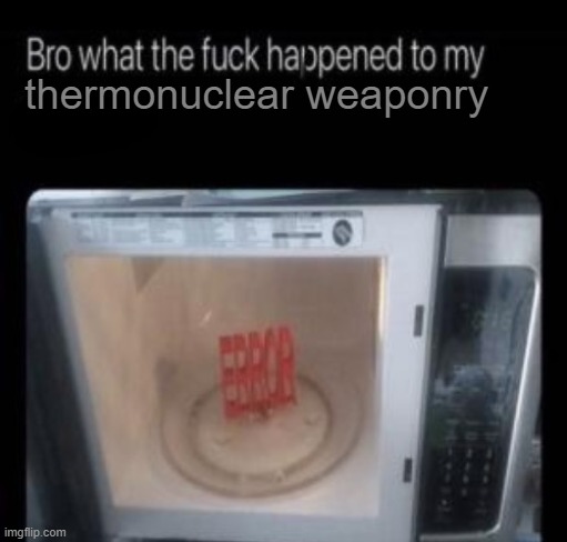 wtf | thermonuclear weaponry | image tagged in bro what the frick happened to my blank | made w/ Imgflip meme maker