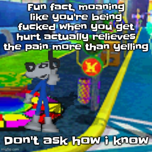Uhm | Fu​​n fact, moaning like you're being fucked when you get hurt actually relieves the pain more than yelling; Don't ask how i know | image tagged in dob flips you off | made w/ Imgflip meme maker