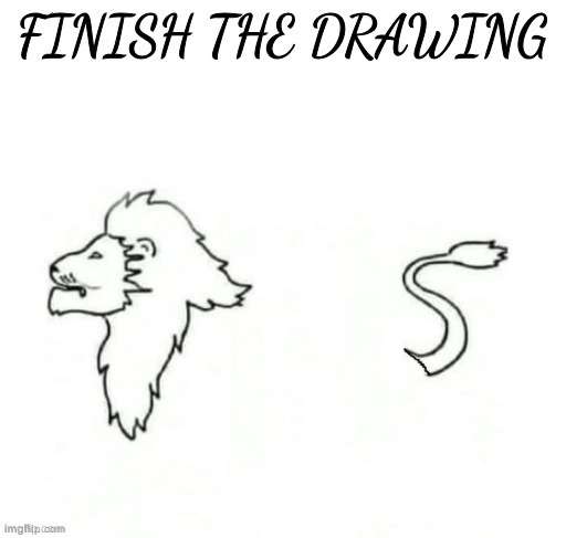 finish the drawing | image tagged in finish the drawing | made w/ Imgflip meme maker