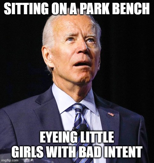 SITTING ON A PARK BENCH EYEING LITTLE GIRLS WITH BAD INTENT | image tagged in joe biden | made w/ Imgflip meme maker