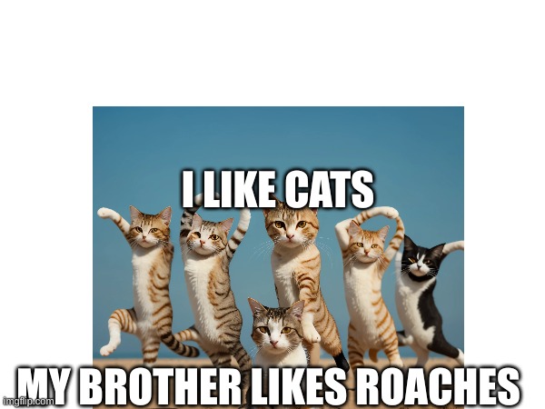 I LIKE CATS; MY BROTHER LIKES ROACHES | image tagged in catandimaginarybro,caaaaaaaaaaaat | made w/ Imgflip meme maker