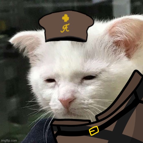 Day 3 of cats in Guts and Blackpowder uniforms | image tagged in gutsandblackpowder,memes,cats,roblox | made w/ Imgflip meme maker