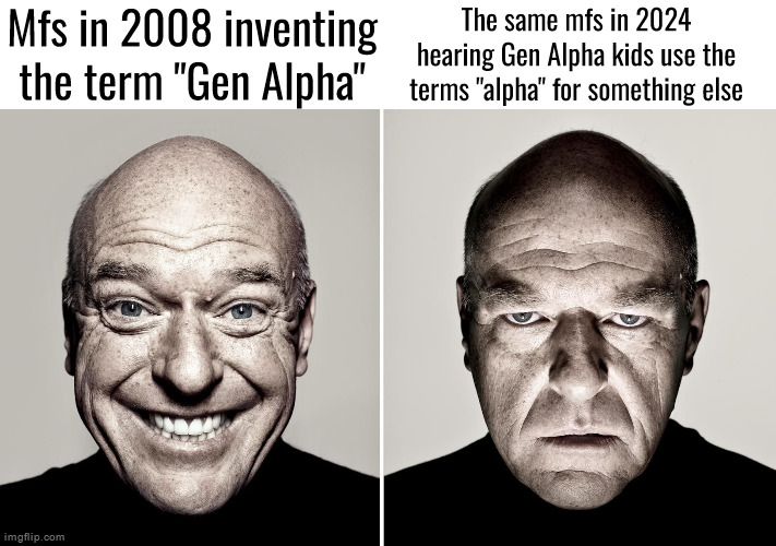 Hank Smiling/Frowning | The same mfs in 2024 hearing Gen Alpha kids use the terms "alpha" for something else; Mfs in 2008 inventing the term "Gen Alpha" | image tagged in hank smiling/frowning | made w/ Imgflip meme maker