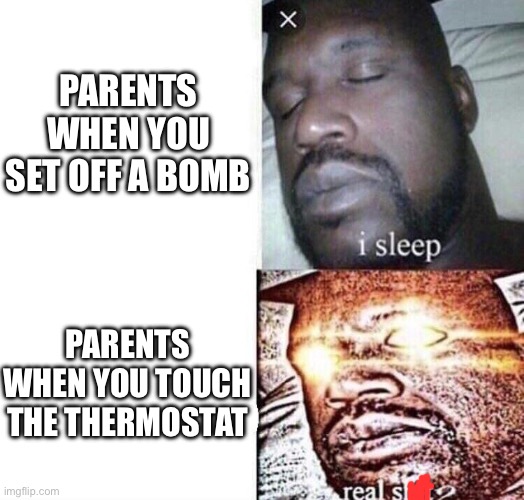 i sleep real shit | PARENTS WHEN YOU SET OFF A BOMB; PARENTS WHEN YOU TOUCH THE THERMOSTAT | image tagged in i sleep real shit,stop reading the tags,tag,random,lol,why are you reading the tags | made w/ Imgflip meme maker