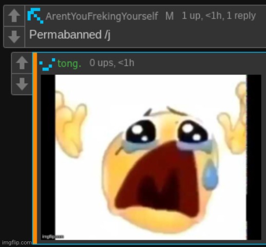 Permabanned | image tagged in permabanned | made w/ Imgflip meme maker