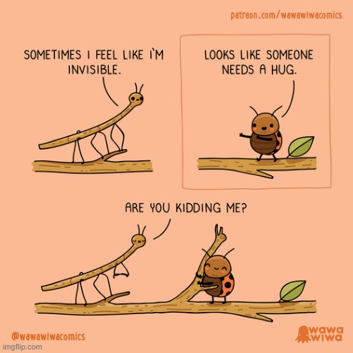 image tagged in stickbug,ladybug,invisible,hug,oof | made w/ Imgflip meme maker