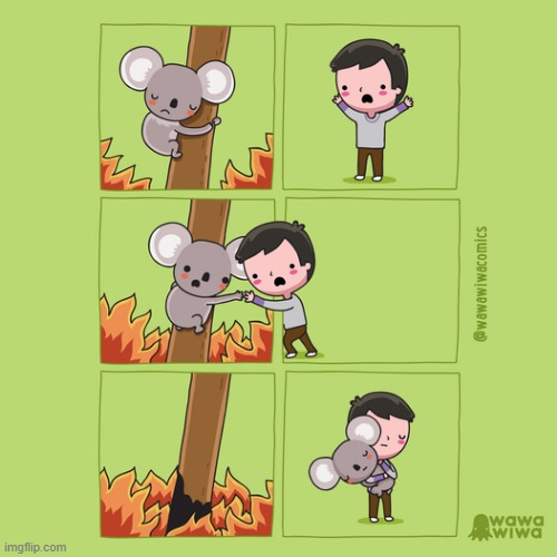 This comic was made in response to the Australia bushfires a few years back. | image tagged in koala,tree,fire,wildfire,australia,rescue | made w/ Imgflip meme maker