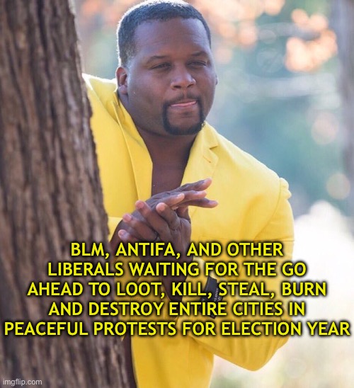 It’s that time again | BLM, ANTIFA, AND OTHER LIBERALS WAITING FOR THE GO AHEAD TO LOOT, KILL, STEAL, BURN AND DESTROY ENTIRE CITIES IN PEACEFUL PROTESTS FOR ELECTION YEAR | image tagged in black guy hiding behind tree | made w/ Imgflip meme maker