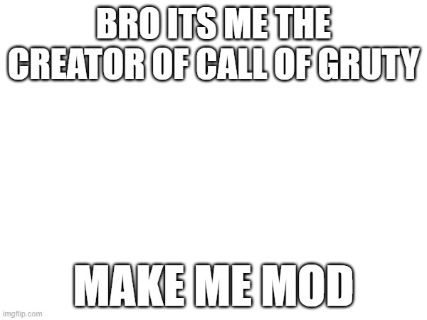 its me | BRO ITS ME THE CREATOR OF CALL OF GRUTY; MAKE ME MOD | image tagged in call of gruty | made w/ Imgflip meme maker