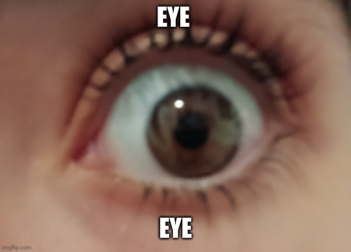 Eye | EYE; EYE | image tagged in eye | made w/ Imgflip meme maker