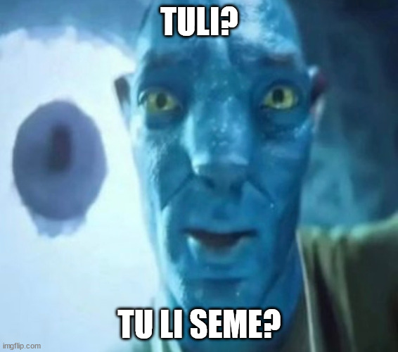 Avatar guy | TULI? TU LI SEME? | image tagged in avatar guy | made w/ Imgflip meme maker