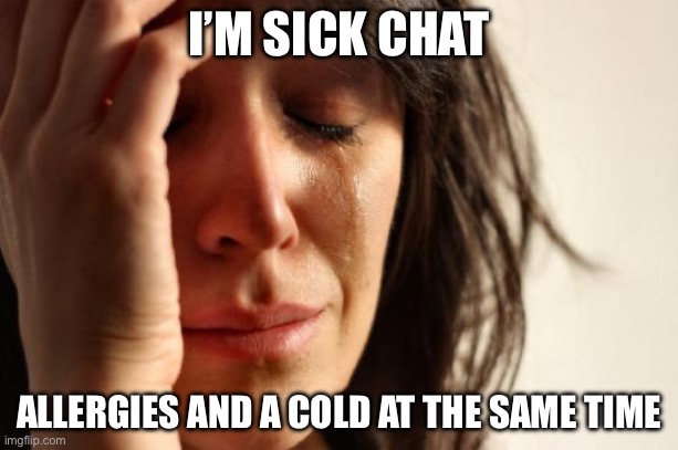 First World Problems | I’M SICK CHAT; ALLERGIES AND A COLD AT THE SAME TIME | image tagged in memes,first world problems | made w/ Imgflip meme maker